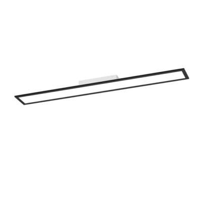 LK901511 MORADILLO-Z