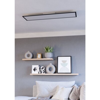 LK901511 MORADILLO-Z